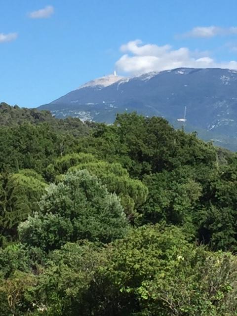 Villa Les Granges Vaison Saint-Marcellin-lès-Vaison Екстериор снимка